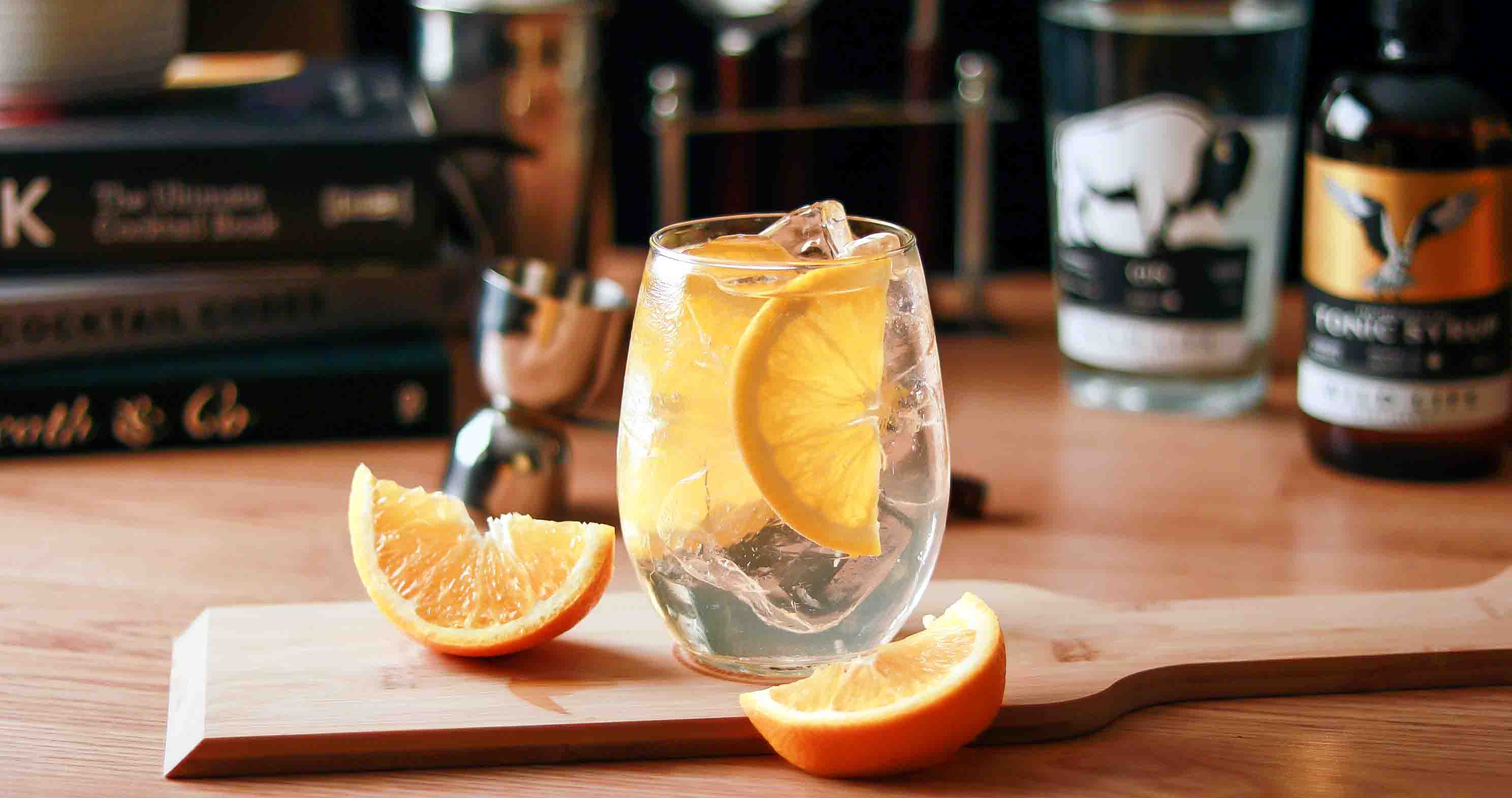 Wild Gin & Tonic | Booze on the Rocks
